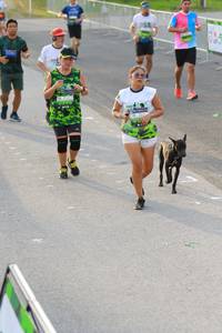 BIB: 
                            <button type="button" onclick="openModal(3534225)" class="btn btn-primary btn-sm float-right btn-popup" data-toggle="modal" data-target=".modal-high-quality">
                        <i class="fas fa-shopping-cart"></i> Add to Cart
                    </button>
                                            <button type="button" onclick="isThisMe(3534225, true)" class="btn btn-success btn-sm float-right btn-popup btn-isme hidden" data-toggle="tooltip" data-placement="bottom" title="นี่คือรูปของคุณใช่ไหม คลิกที่นี่เพื่อเอาเข้าอัลบั้ม">
                        <i class="fas fa-plus"></i> Add to album
                    </button>
                    <button type="button" onclick="isThisMe(3534225, false)" class="btn btn-warning btn-sm float-right btn-popup btn-isnotme hidden">
                        <i class="fas fa-ban"></i> Remove from album
                    </button>